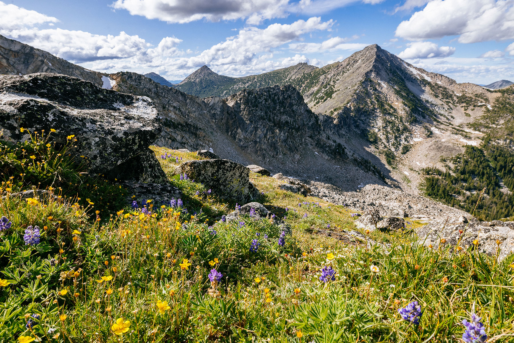 Among the Peaks