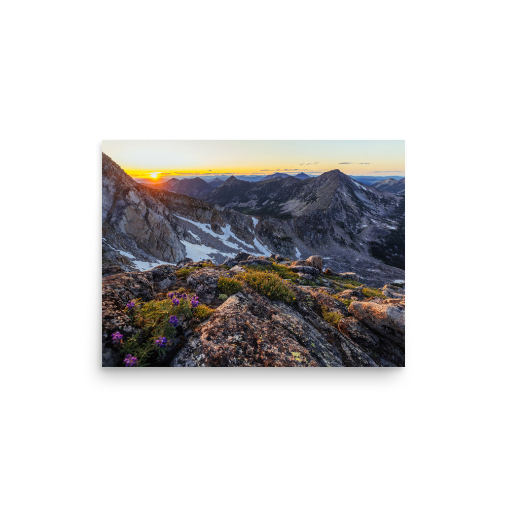 Goodbye to the Sun - Image 2