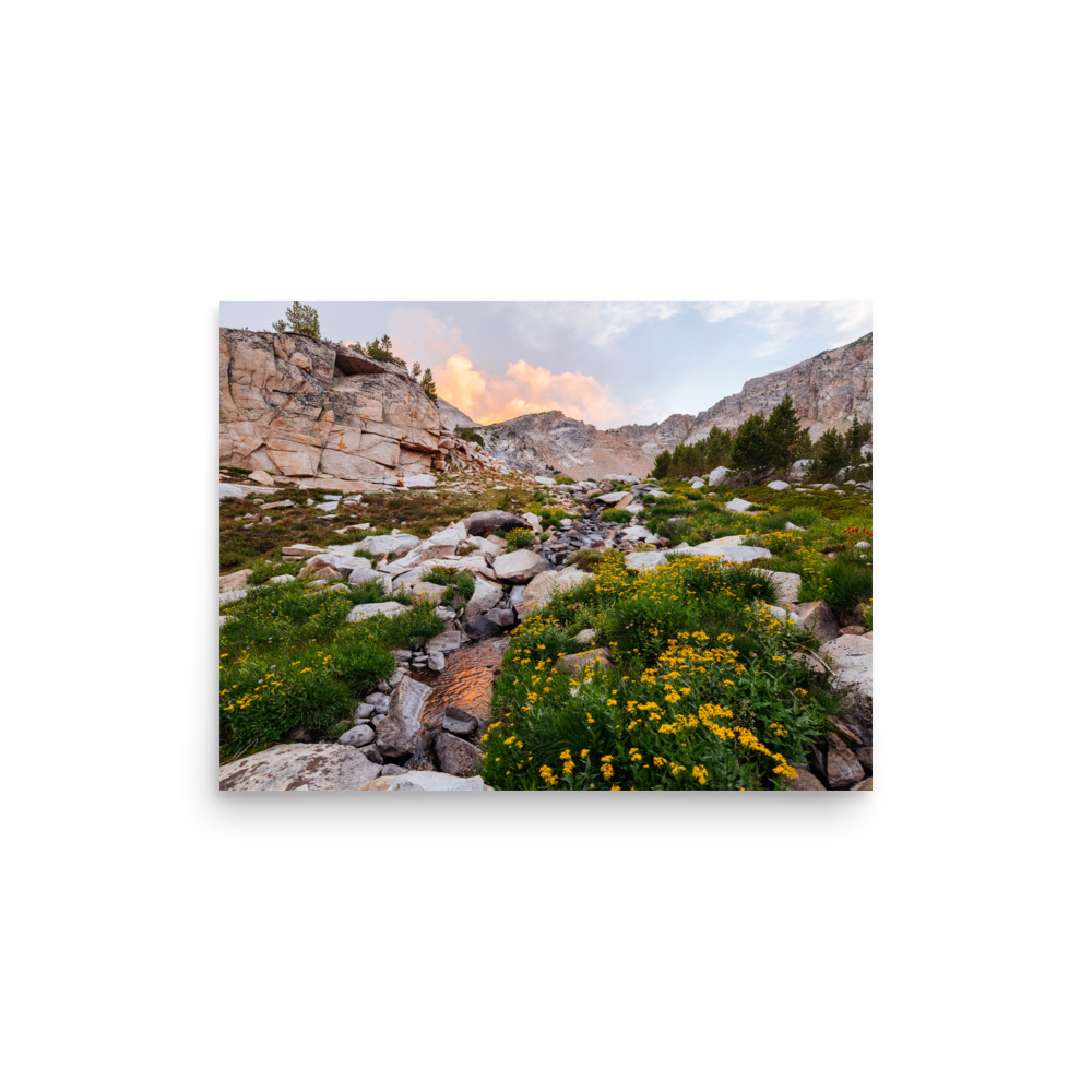 Golden Evening, Horizontal - Image 2