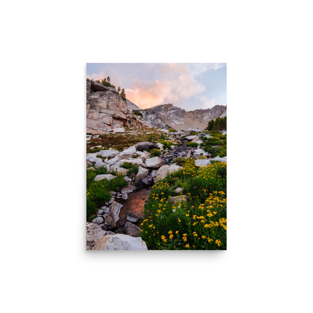 Golden Evening, Vertical - Image 2