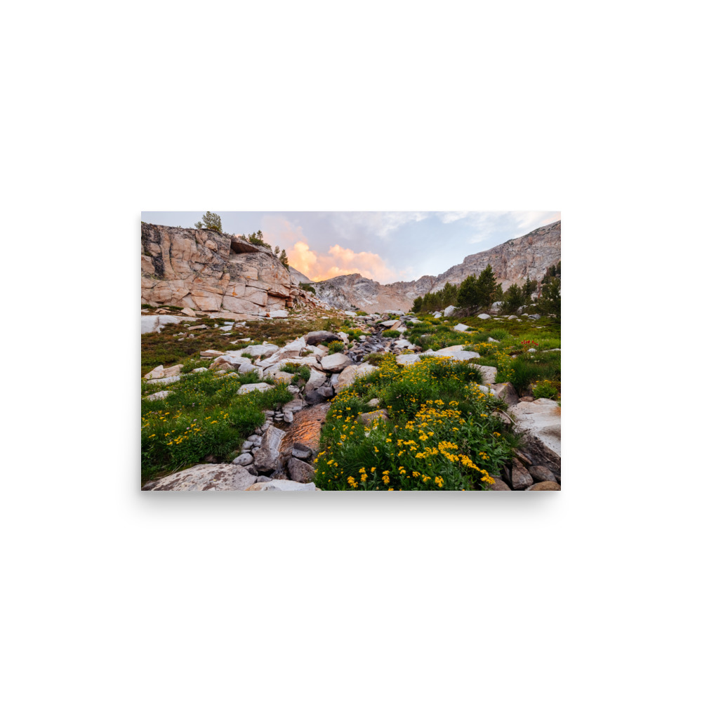 Golden Evening, Horizontal - Image 3