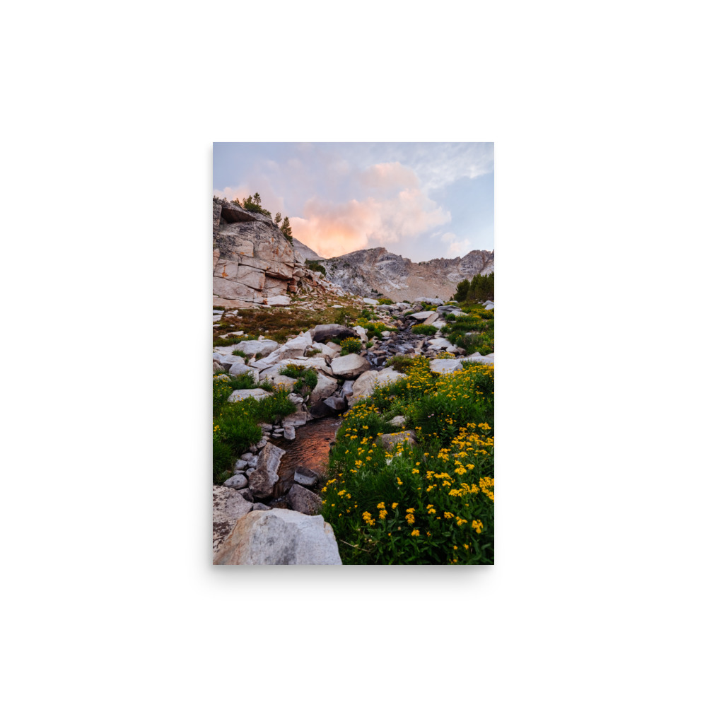 Golden Evening, Vertical - Image 3