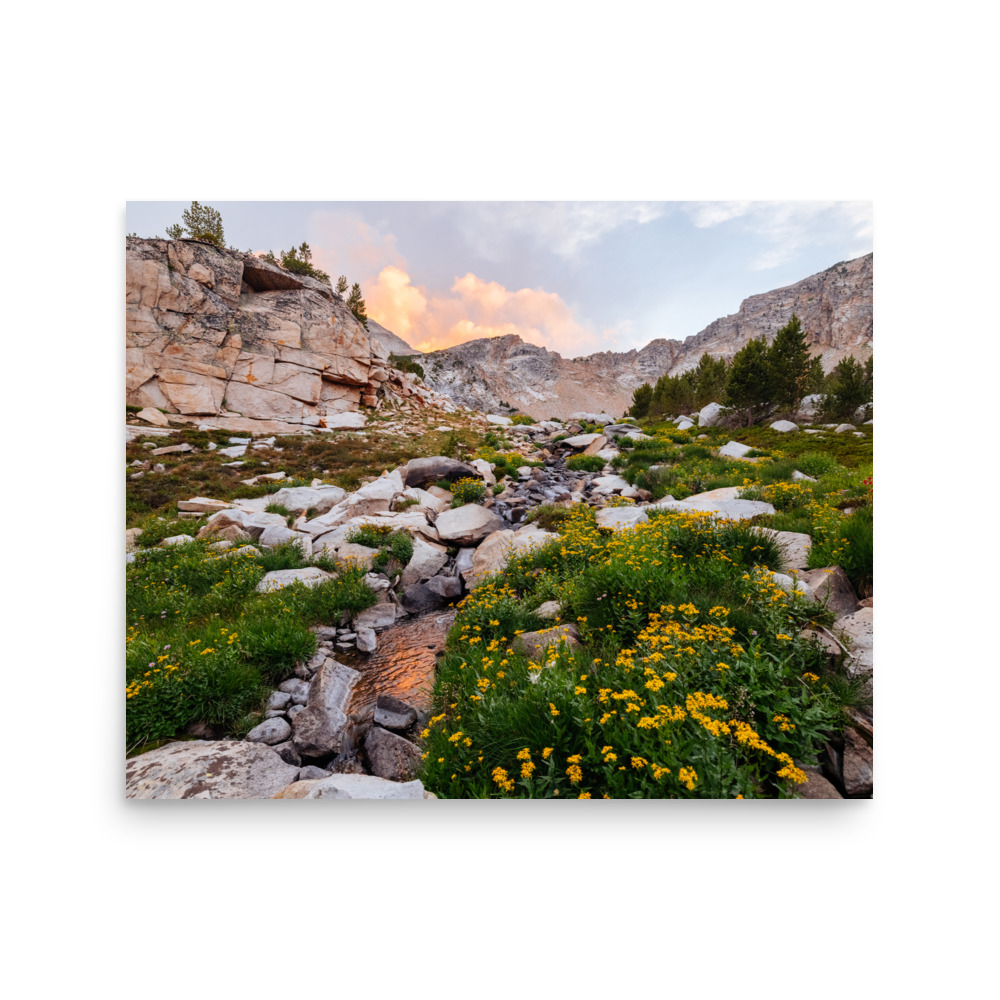 Golden Evening, Horizontal - Image 4