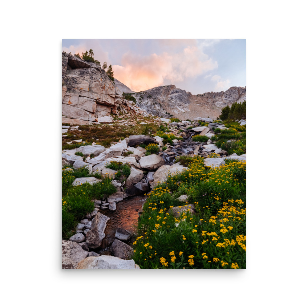 Golden Evening, Vertical - Image 4