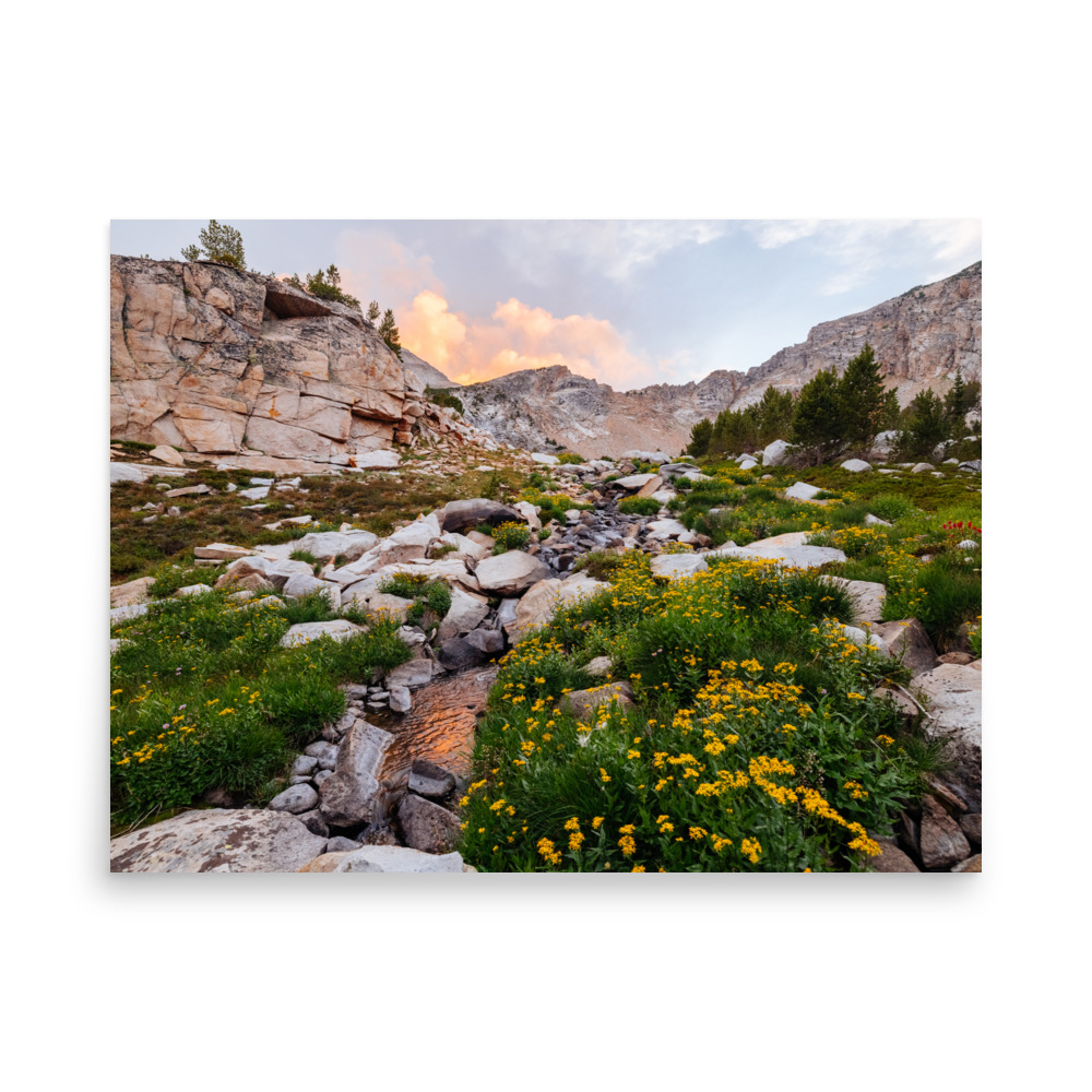 Golden Evening, Horizontal - Image 5