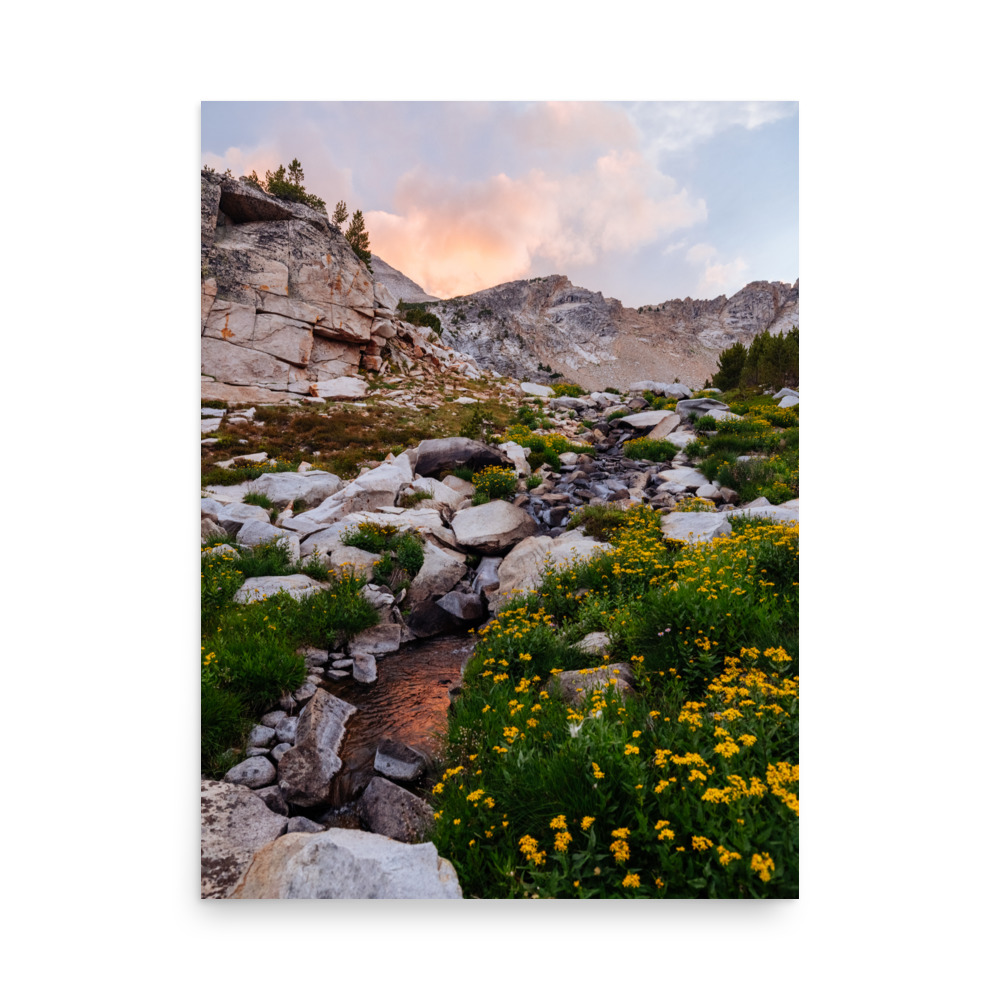 Golden Evening, Vertical - Image 5