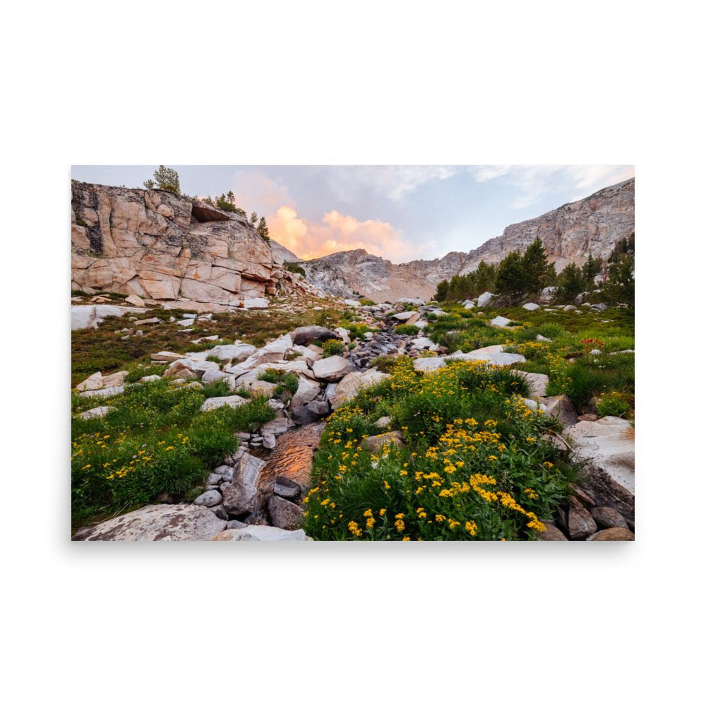 Golden Evening, Horizontal - Image 6