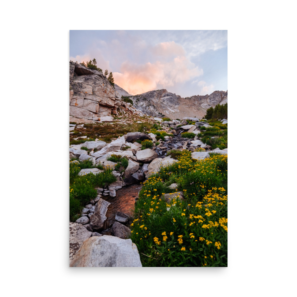 Golden Evening, Vertical - Image 6