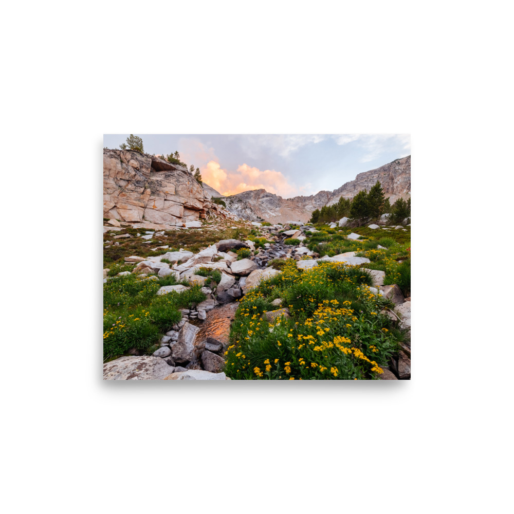 Golden Evening, Horizontal - Image 7