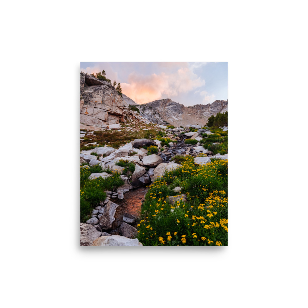 Golden Evening, Vertical - Image 7